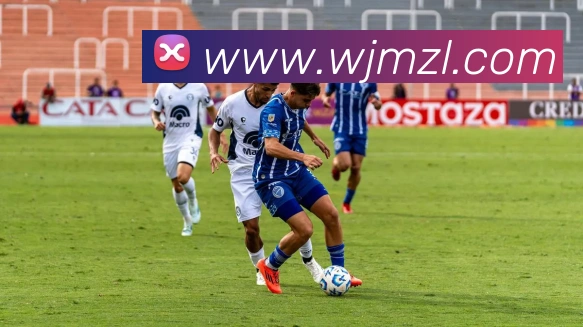 App Interface Preview