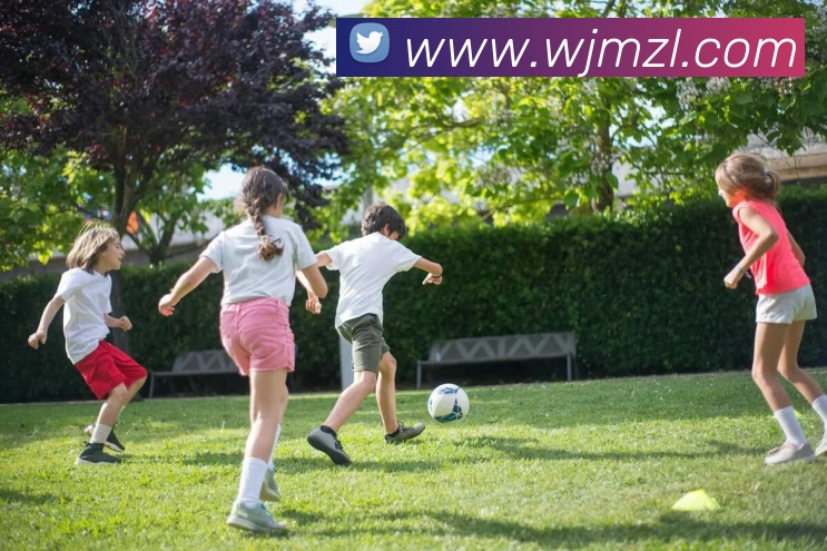 尊龙凯时APP 封面图